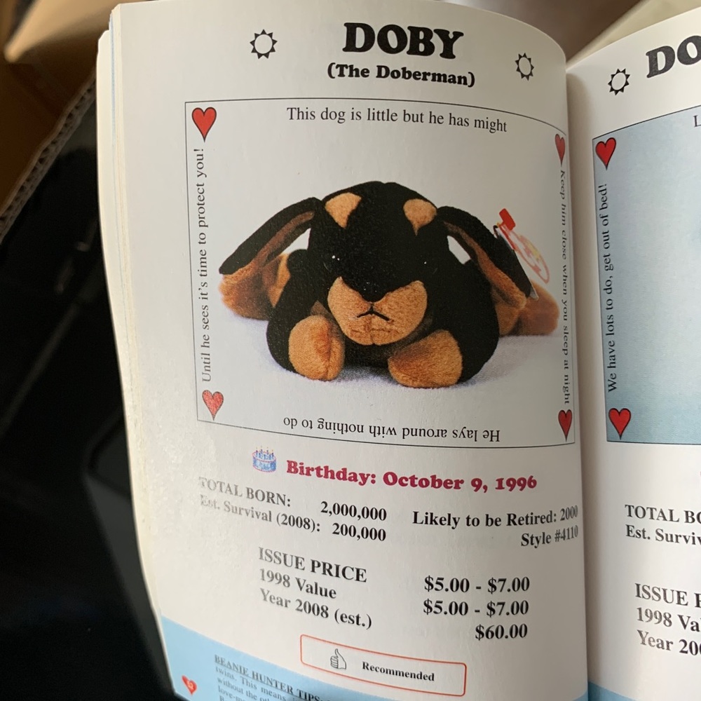 Doby Beanie Baby